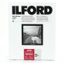 Ilford Multigrade RC Portfolio Pearl